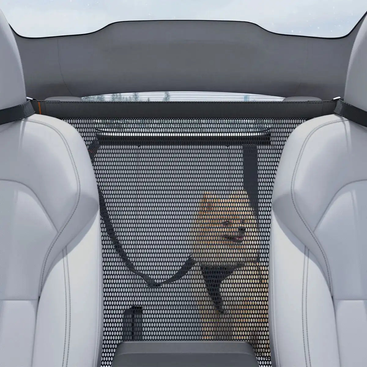 Pet Car Backseat Barrier | PS200